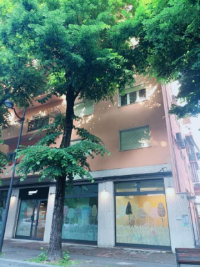 Aurora Rooms